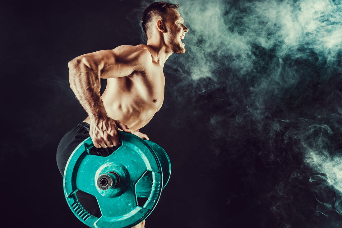 TODO LO QUE NECESITAS SABER PARA GANAR MUSCULO