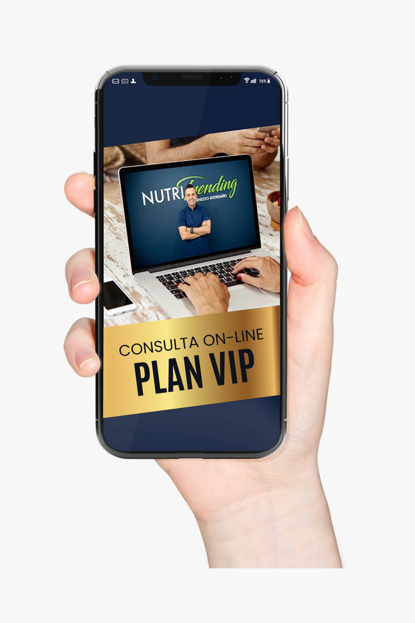 Consulta Online Plan Vip